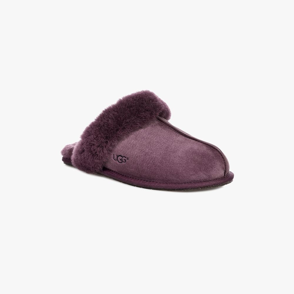 UGG Scuffette